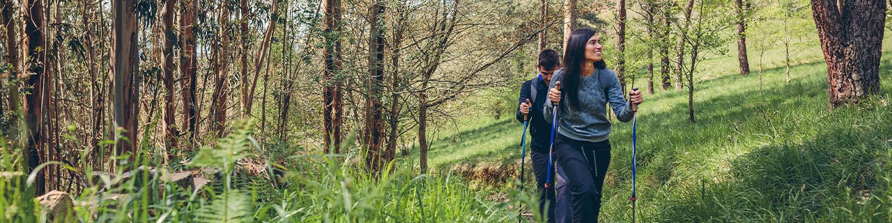 Desbravando trilhas: Guia essencial para iniciantes no trekking!