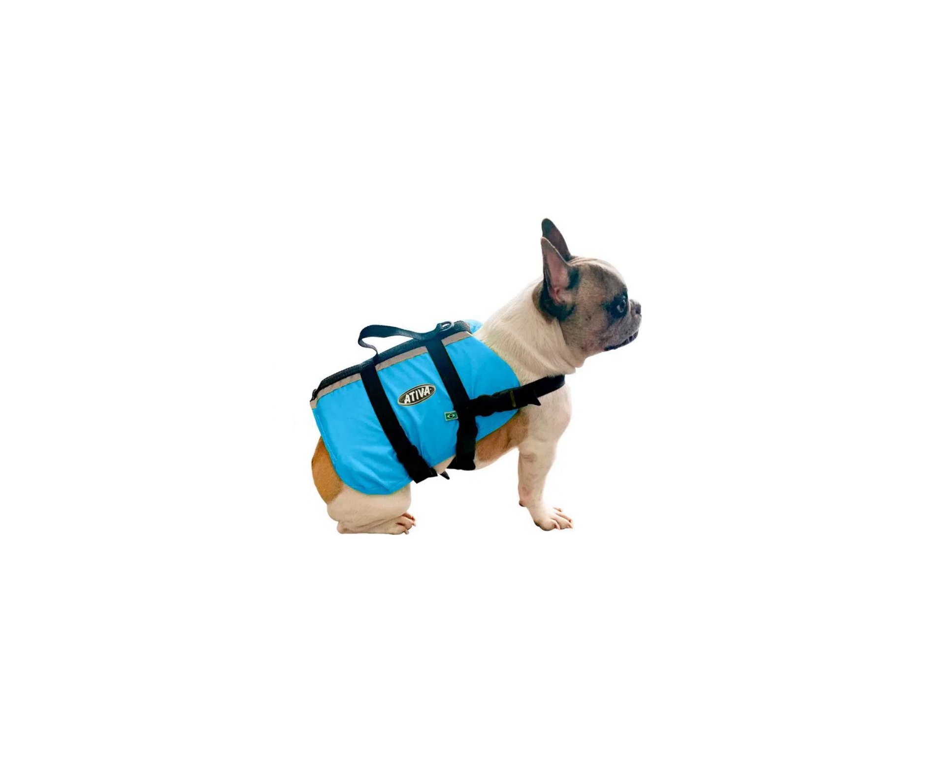 Colete Salva Vidas Para Cachorro Pet Vest Jt Ativa Azul - Ativa