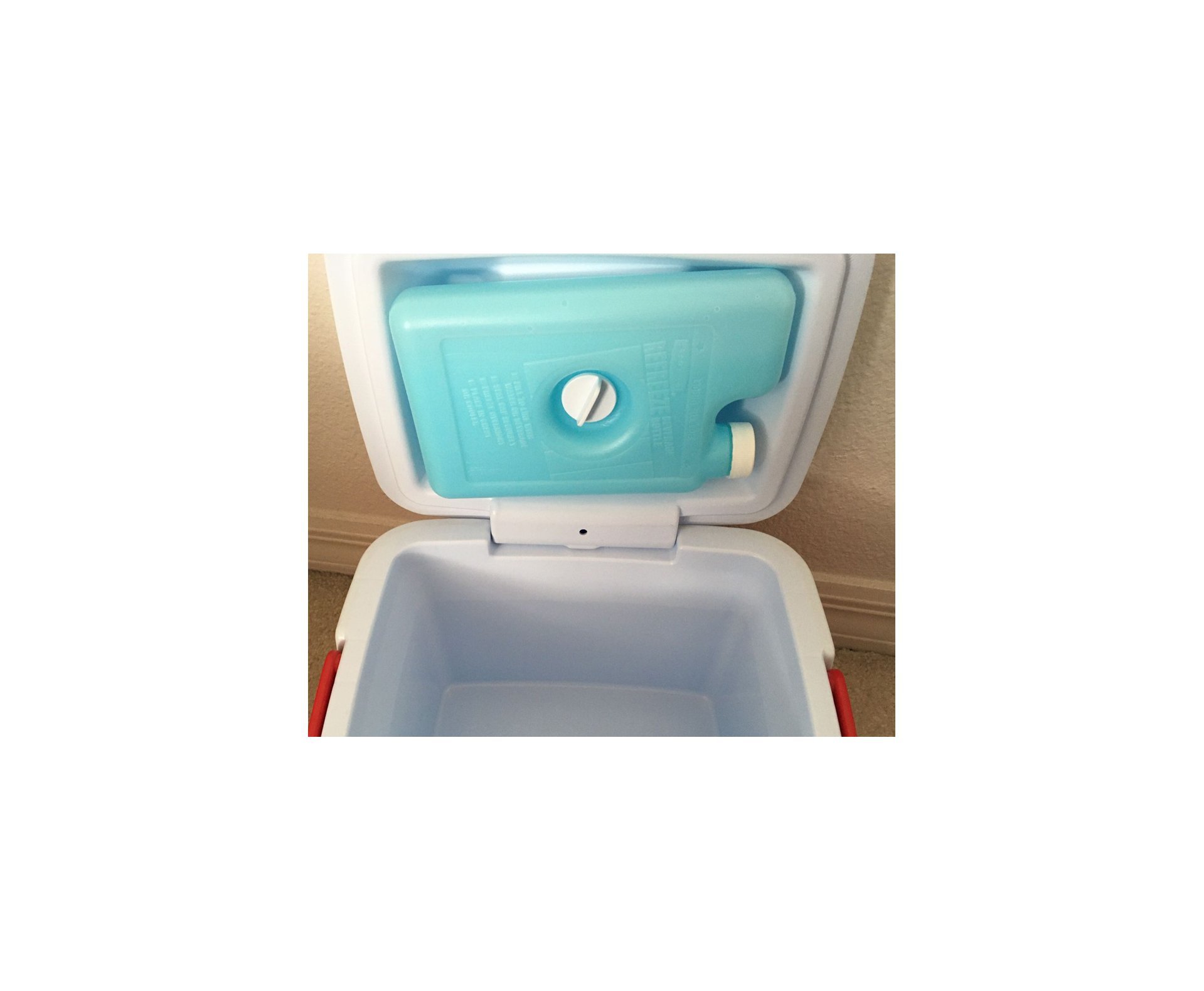 Rubbermaid Refreeze Botlle para Coller 96 QT - Garrafa para bebidas