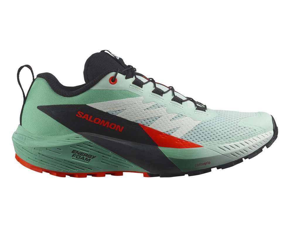 Tênis Salomon Sense Ride 5 Feminino VD/PT/VM