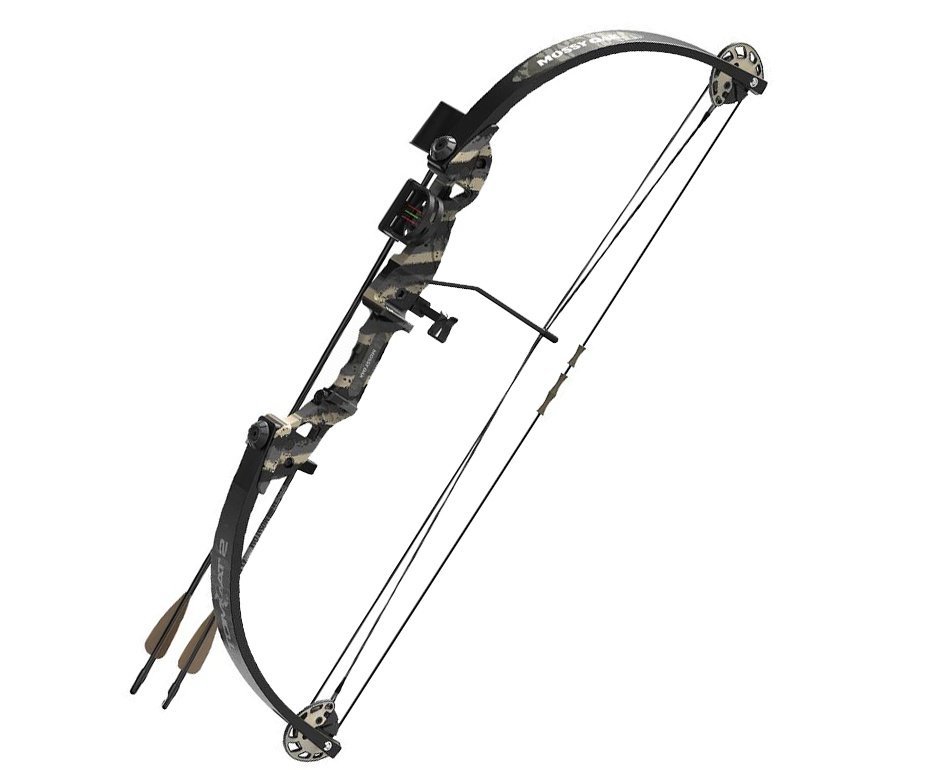 Arco Composto Barnett Tomcat Flecha 28" 22lbs