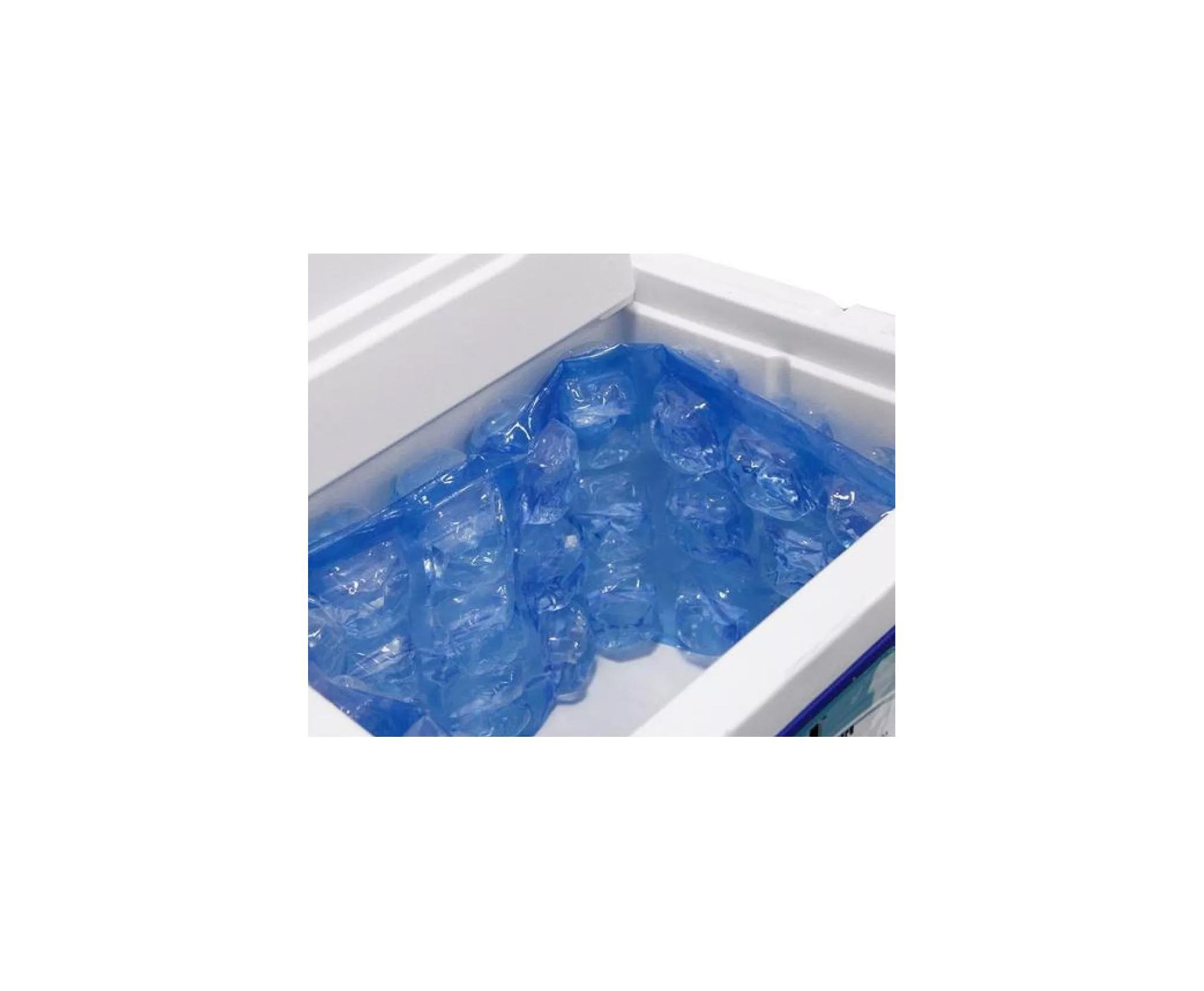 Gelo Artificial Flexivel Maxcold Natural Ice Cube - Igloo