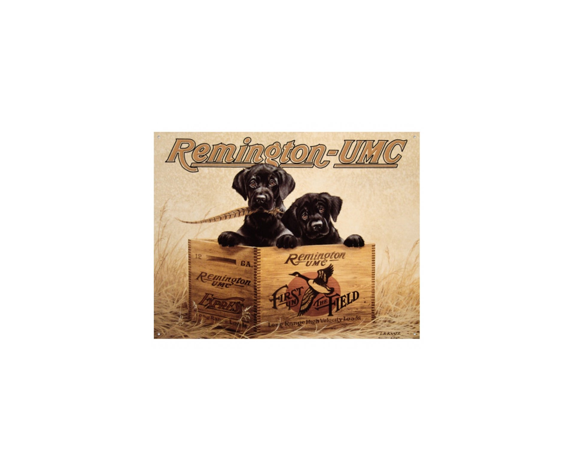 Placa Metálica Decorativa Remington Finder"s Kee - Rossi