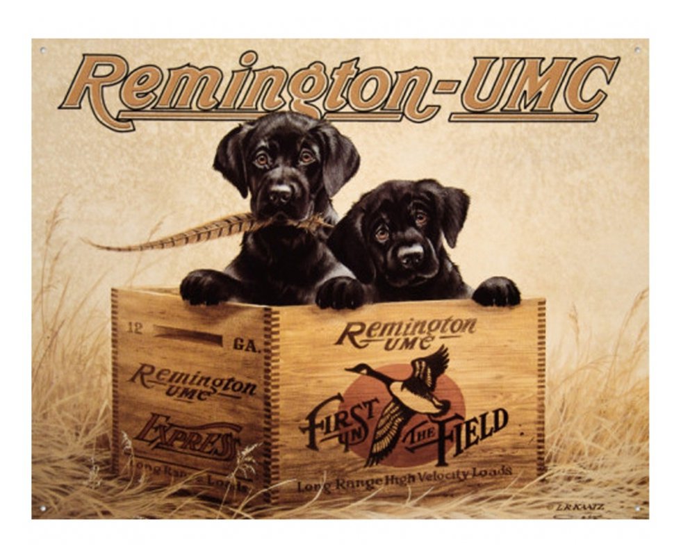 Placa Metálica Decorativa Remington Finder"s Kee - Rossi