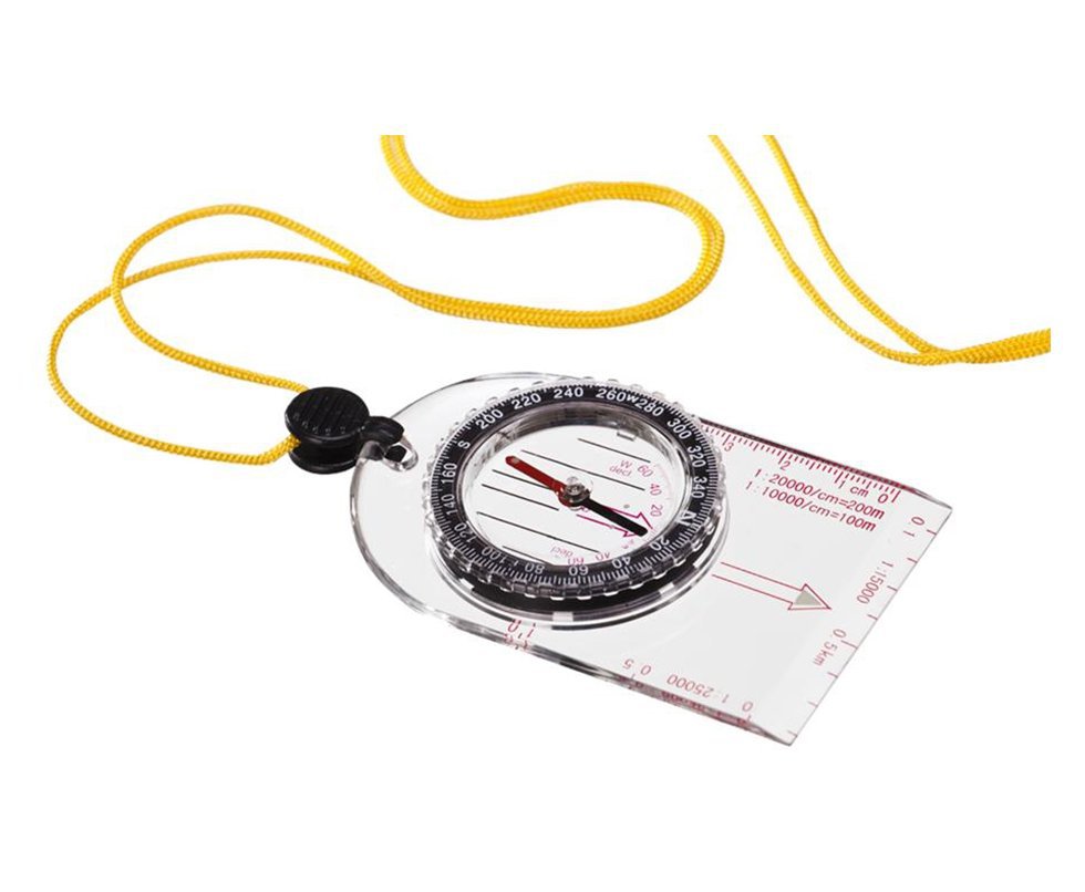 Bússola Mapa - Guepardo