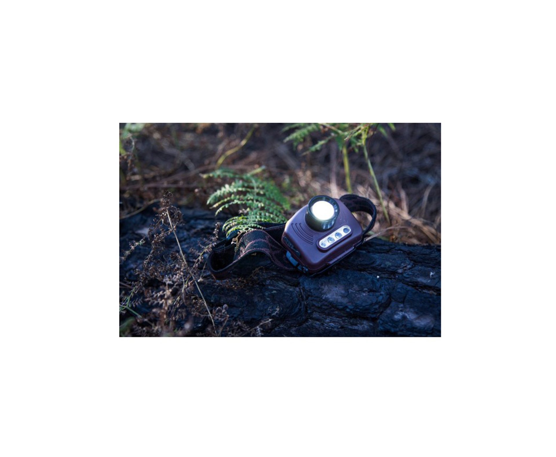 Lanterna De Cabeça Sensor Light - Guepardo