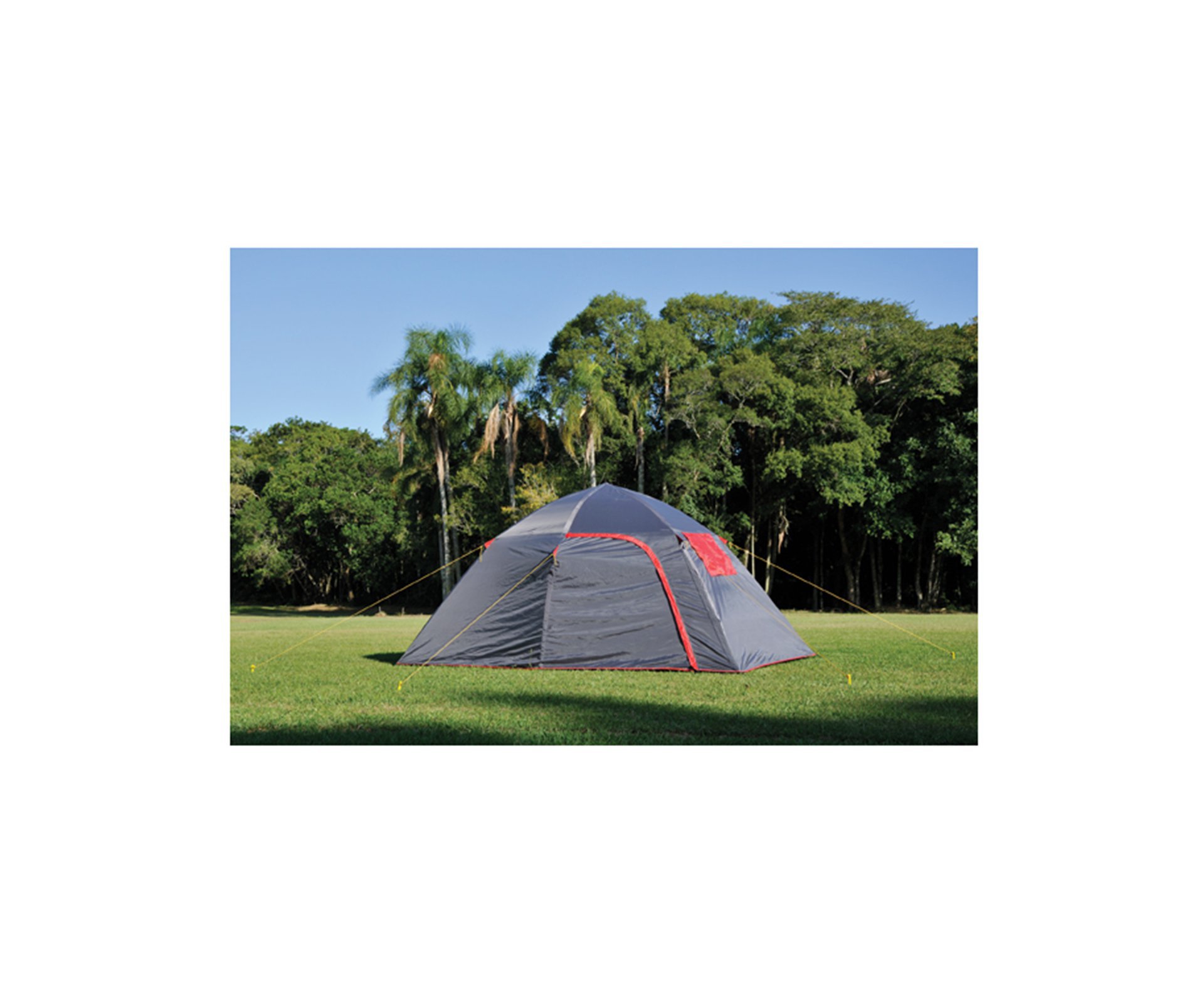 Barraca Automatica Spider 7 Pessoas 1200mm Coluna Dagua - Mor