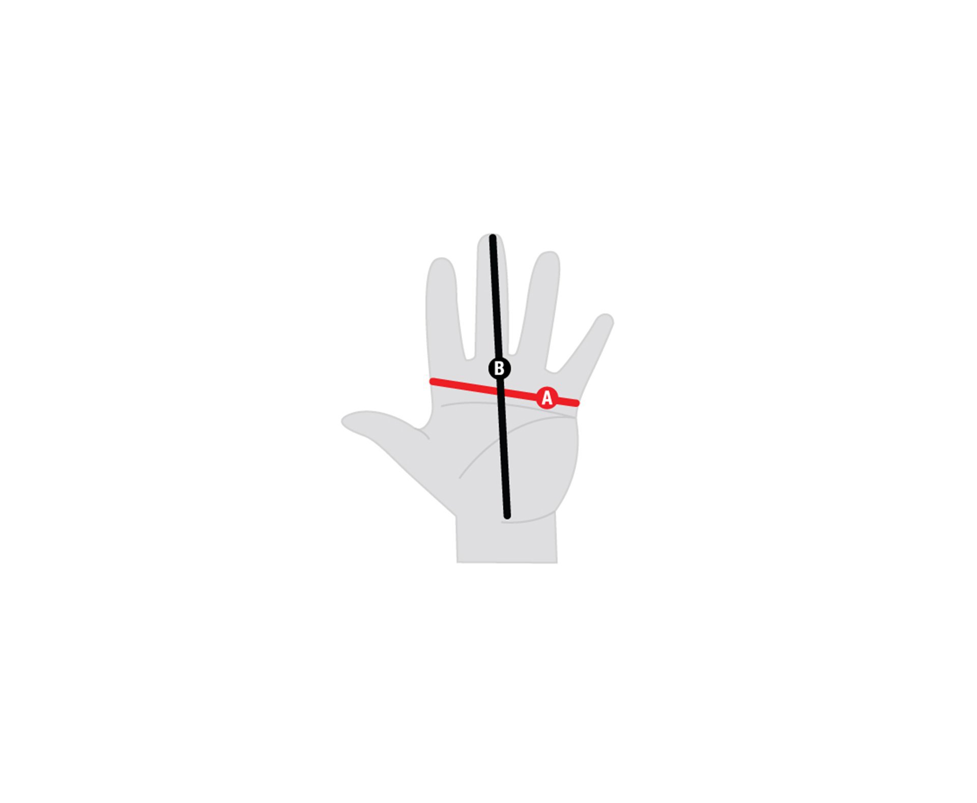 Luva Pamir Windstopper Etip Masculina - Preta - The North Face - M