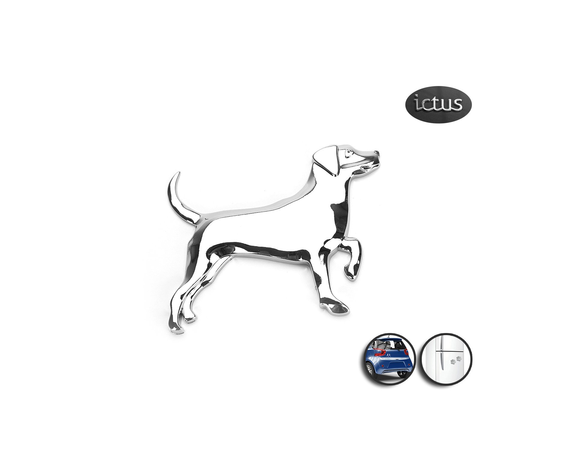 Emblema Beagle - Ictus